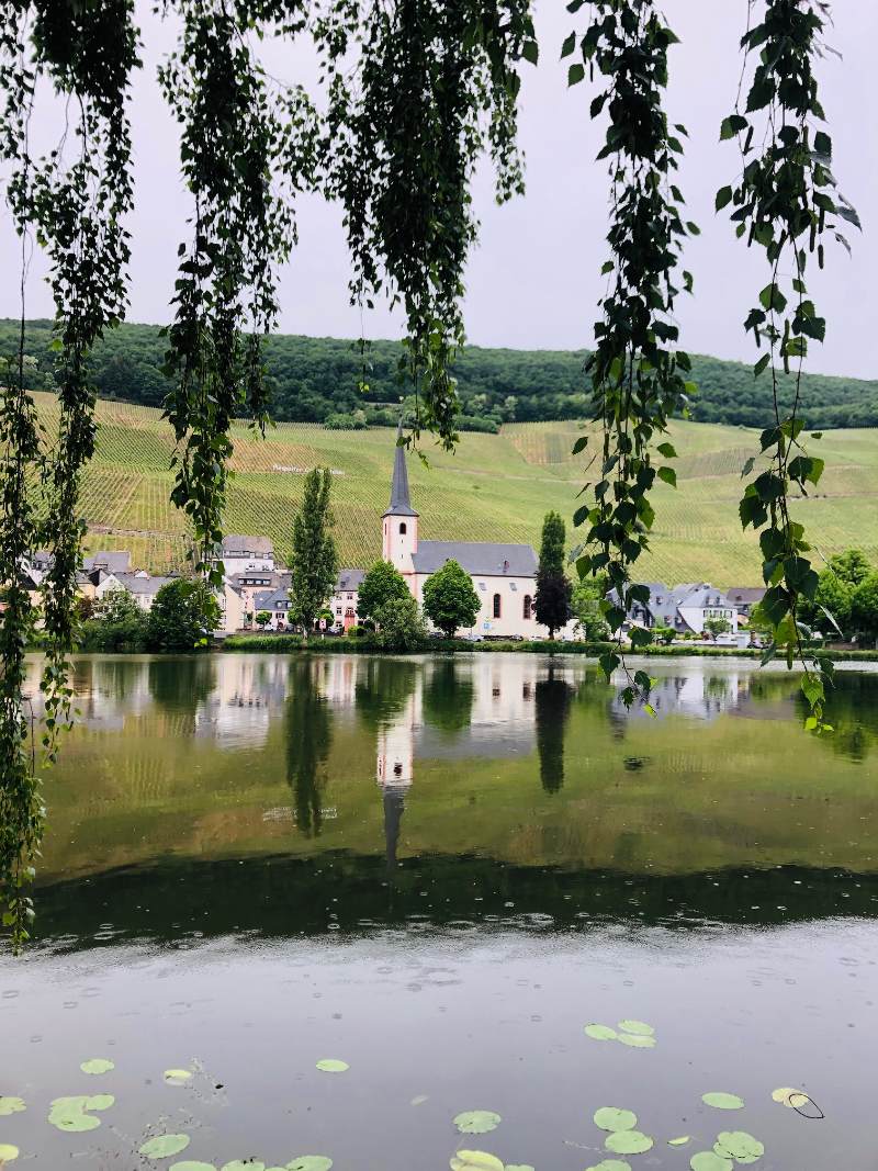 Mosel River view with Piesport in the background