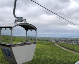 Explore Rüdesheim with Kids by Cable Car, Chairlift, Boat