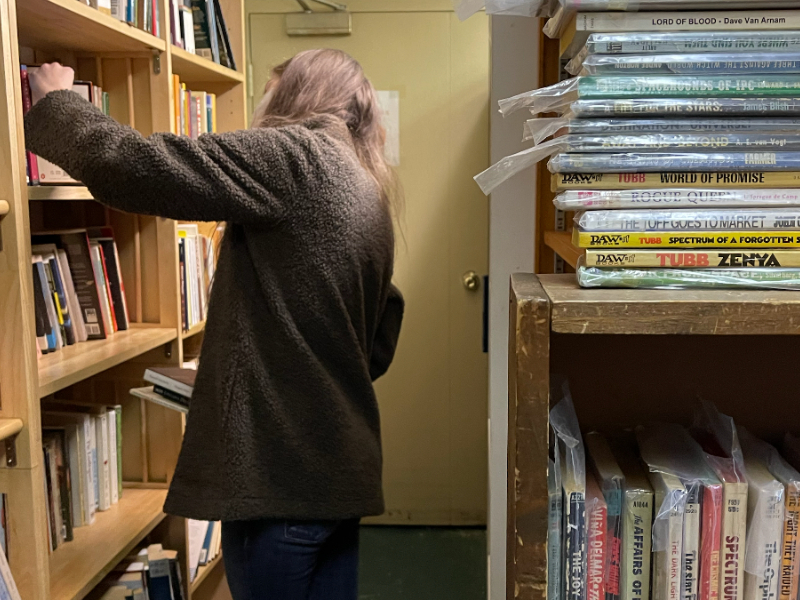 A person looking at books in a bookstore.